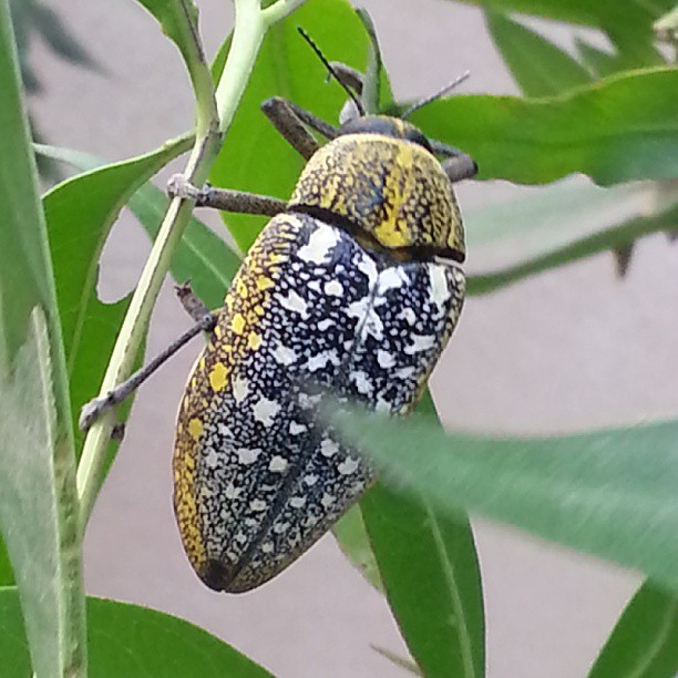 الهادئه tweet media