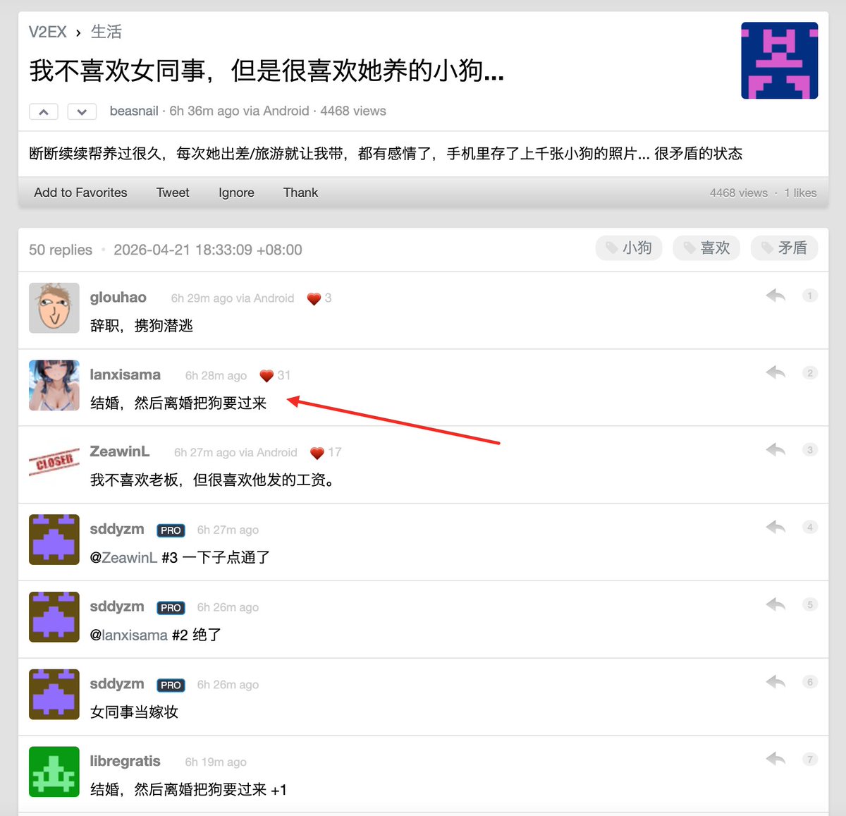 喵喵鱼🪂 tweet media