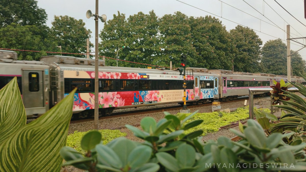 Miyanagi Deswira tweet media