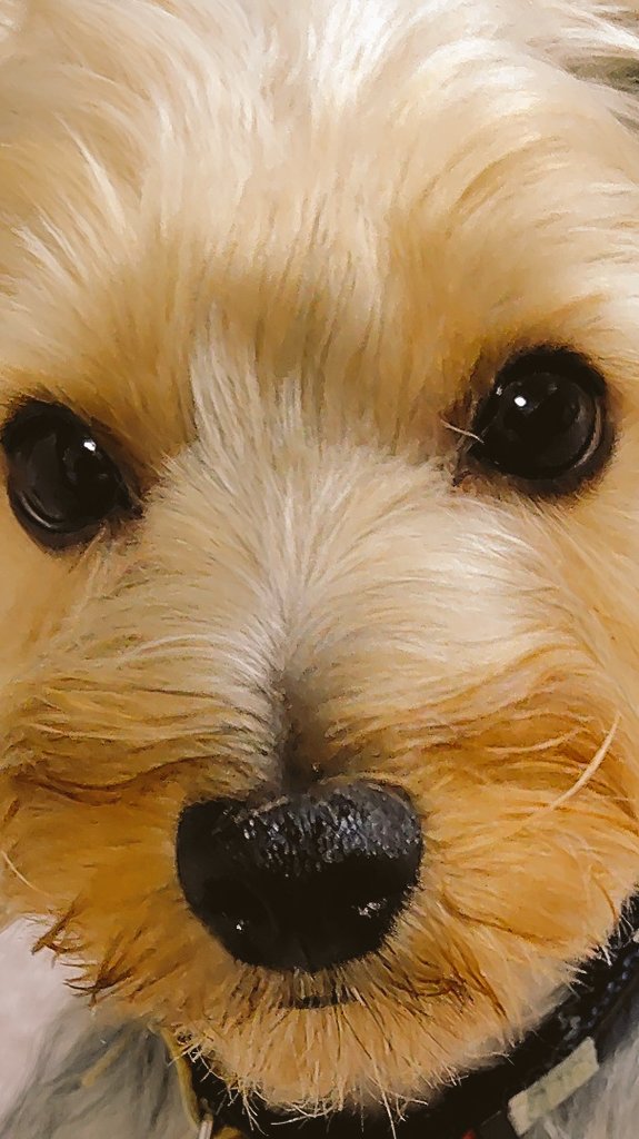 らむねっこ tweet media