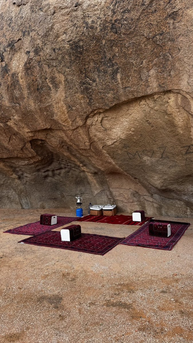 صالح السلماني tweet media