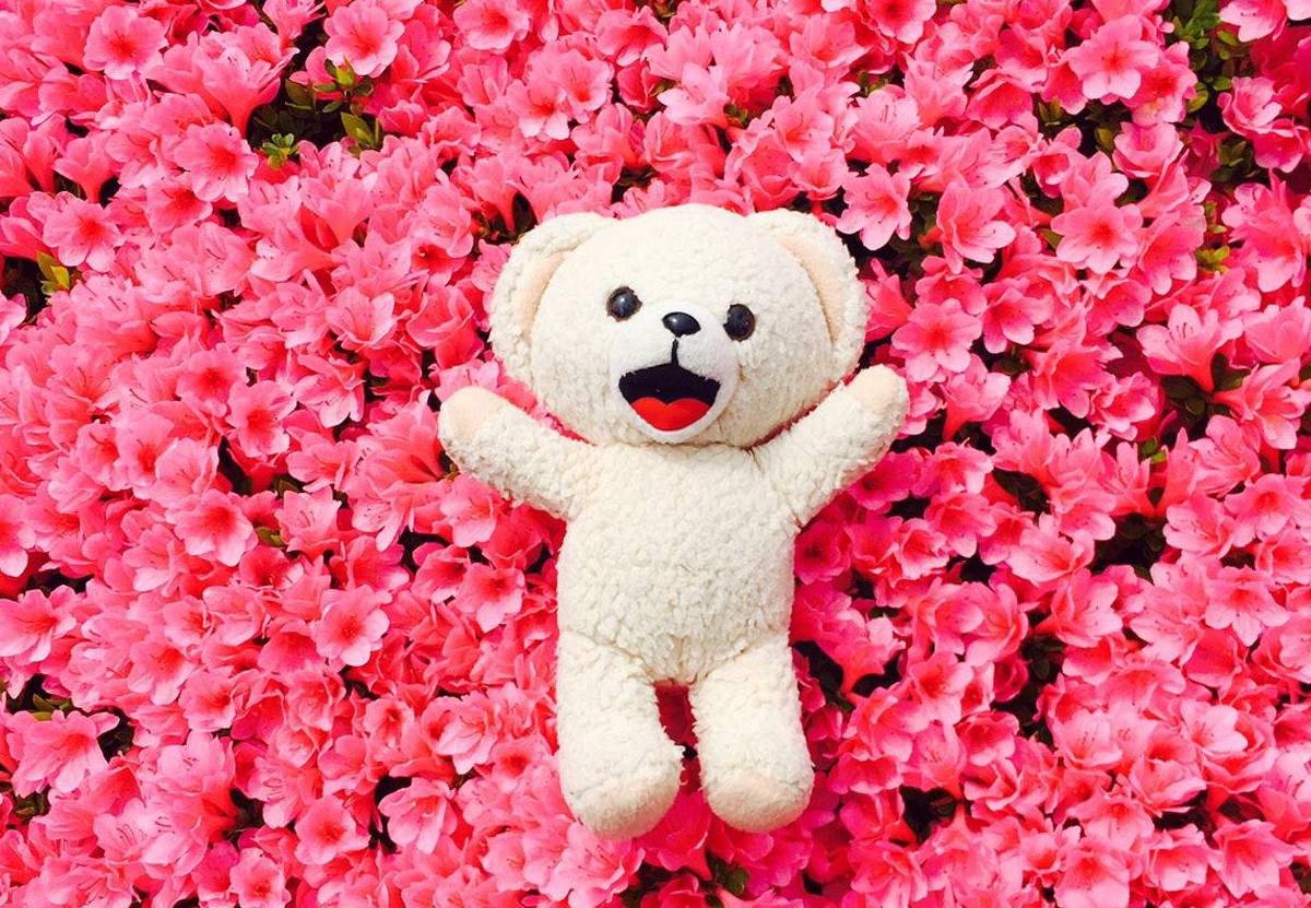 티알하며 같이 즐거운 뒤 칭찬하고 칭찬받는거 너무좋아♡ (서로의 좋은 점을 잔뜩 아는 시간이 좋아)