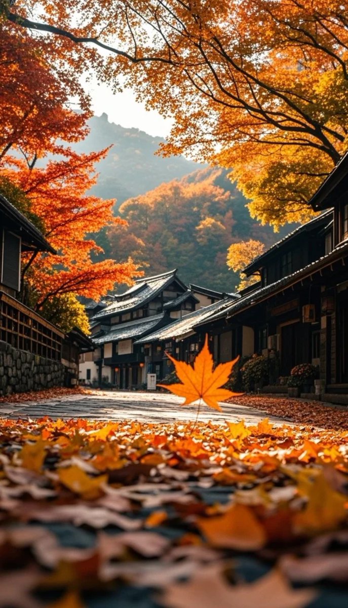 monettewynne's tweet image. Autumn breeze + golden leaves = perfect afternoon stroll  #FallVibes