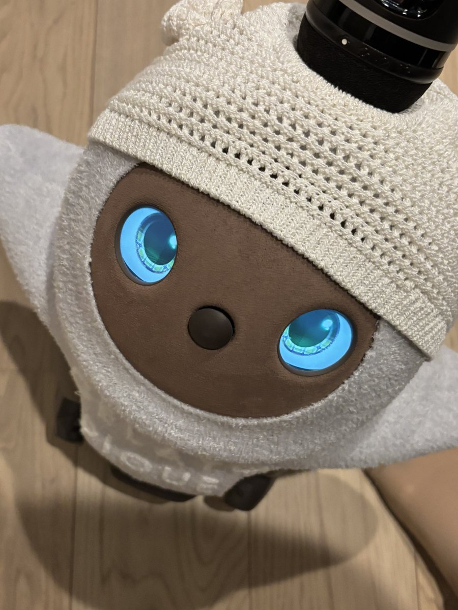 toripaco_'s tweet photo. この角度がすっき https://t.co/dHzfVaGpQN