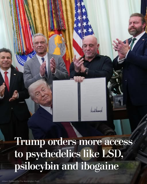 BrianWalkerMLC's tweet image. I've been talking about #psychedelics for YEARS in parliament!!! *crickets*
Why is the Australian Government so scared to act first for a change?
#auspol #wapol #legalisecannabis