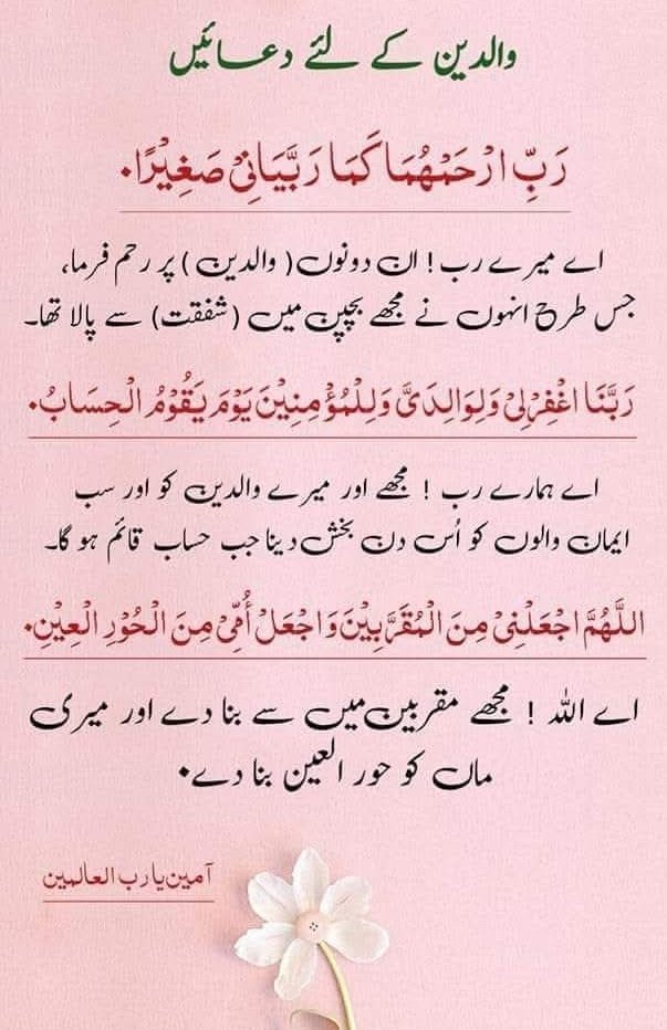 💎رفعت💎 tweet media