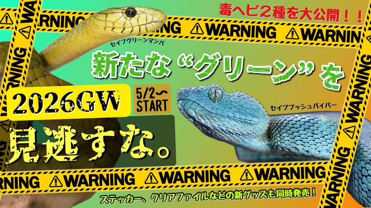 Hebiken_JSC's tweet photo. \\ 2026ゴールデンウィークのJSC！🐍 //

新たな “ グリーン ”を 見逃すなー。

5/2(土)より、新しい毒ヘビ2種類の公開に加え、GWならではの超モリモリスケジュールでイベントを組み、皆様のご来園をお待ちしております！

目玉展示として、JSC園内 毒蛇温室にて

⭐︎セイブブッシュバイパー (期間限定公開)
⭐︎セイブグリーンマンバ (イエロータイプ)

の2種類を新たに公開。

また体感展示として、『 セイブグリーンマンバ 』 & 『 セイブブッシュバイパー 』 の2種は生体展示に加え、新たに製作した剥製もあわせて毒ヘビ温室にて間近にご覧いただけます。

採毒室ではミニ企画展
『 −こう見えて毒ヘビです。− 』にて、
セイブシシバナヘビの品種展示や種としての紹介、エラブウミヘビの遊泳水槽を公開いたします。

GW期間中のSPイベントスケジュール(暫定)は添付の画像よりご確認ください！

5/3〜5/5の3日間は、スネークセンターでも屈指の人気を誇るSPイベント、アオダイショウたちによる「SNAKEクライミングレース」を開催！

その他、シンリンコブラの全身を間近で見ることができる身体測定に、5m越え特大蛇のスケールとその無限の食欲を感じられる身体測定&わんこラットチャレンジイベント、5/5にはこども向けに景品を沢山準備したクイズラリーも開催いたします！

そして、ヘビファン&JSCファンの皆様に大変ご好評の『JSC園内たから探し』は　5/3〜5/5の3日間開催し、全ての日程でセイブグリーンマンバの抜け殻が手に入るチャンスあり！

GW期間中は、全日キッチンカーの出店もございますので、こちらもぜひご利用下さい！

たくさんの皆様のご来園を、お待ち申し上げております🐍