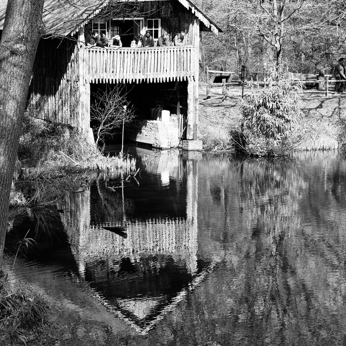 Chemfund's tweet image. boathouse #monochrome #leica #boat