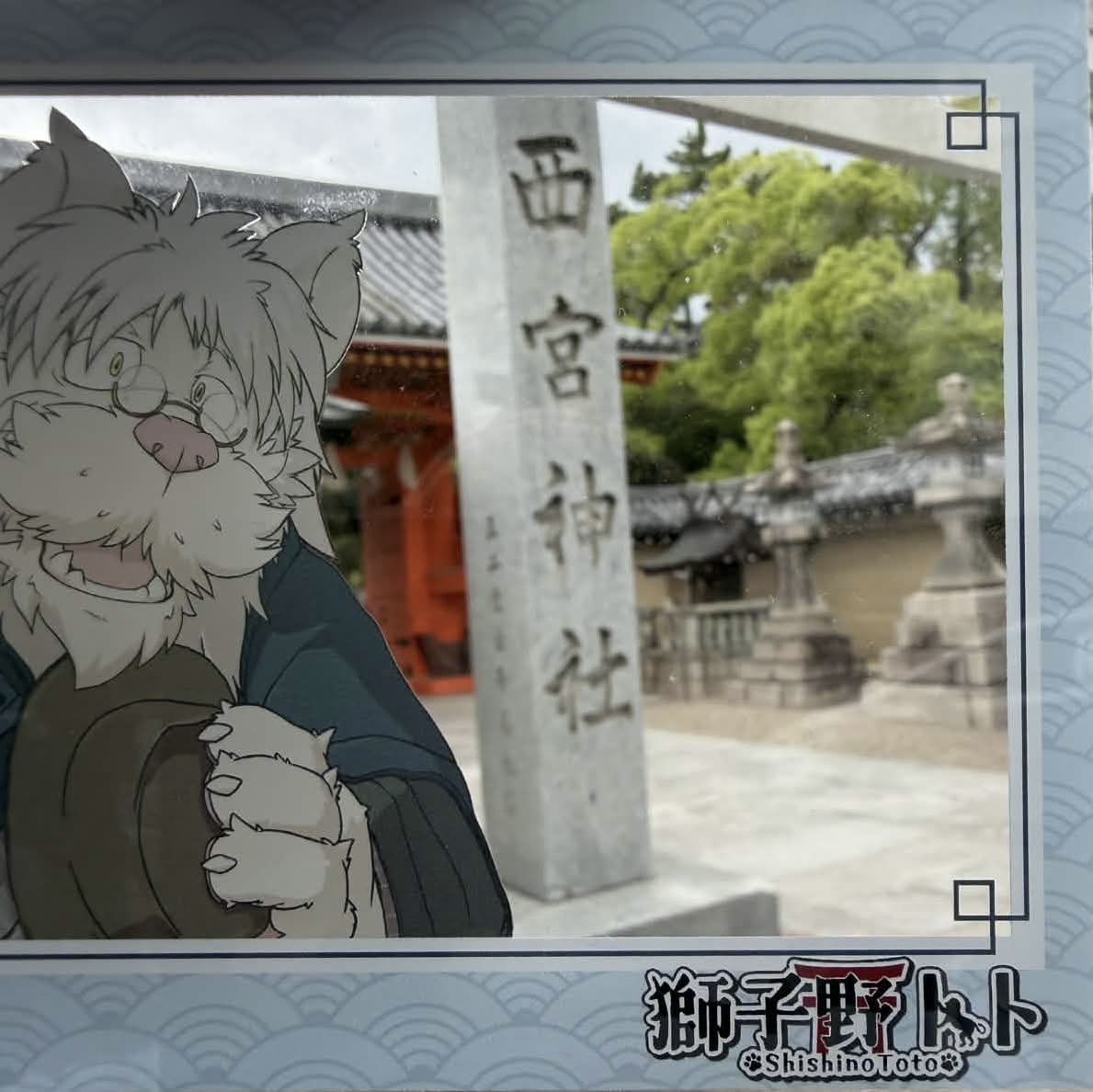 べぅ tweet media