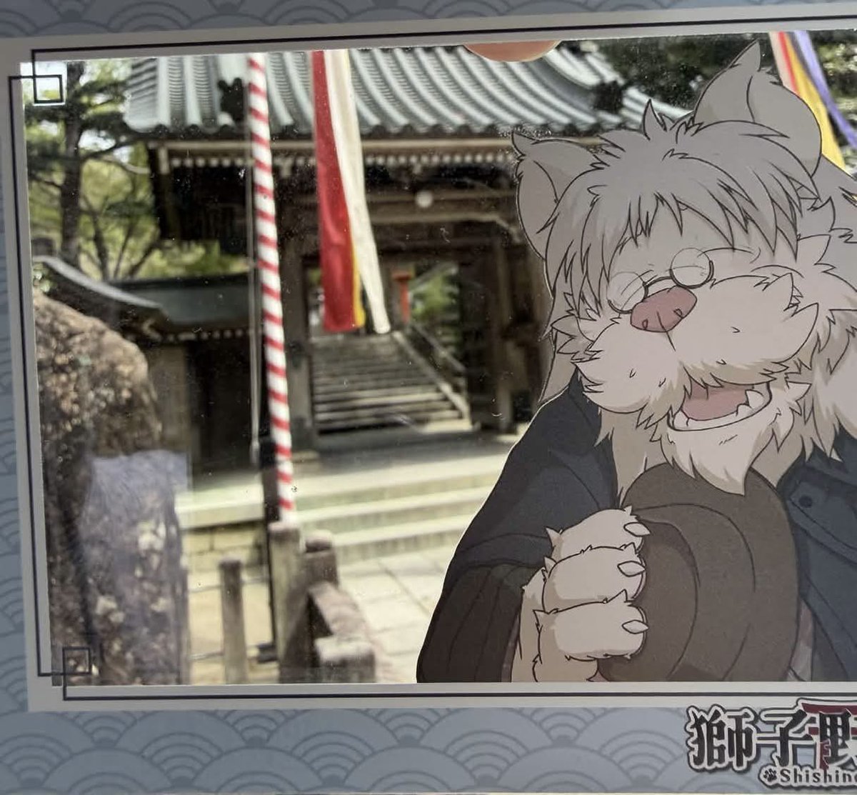 べぅ tweet media