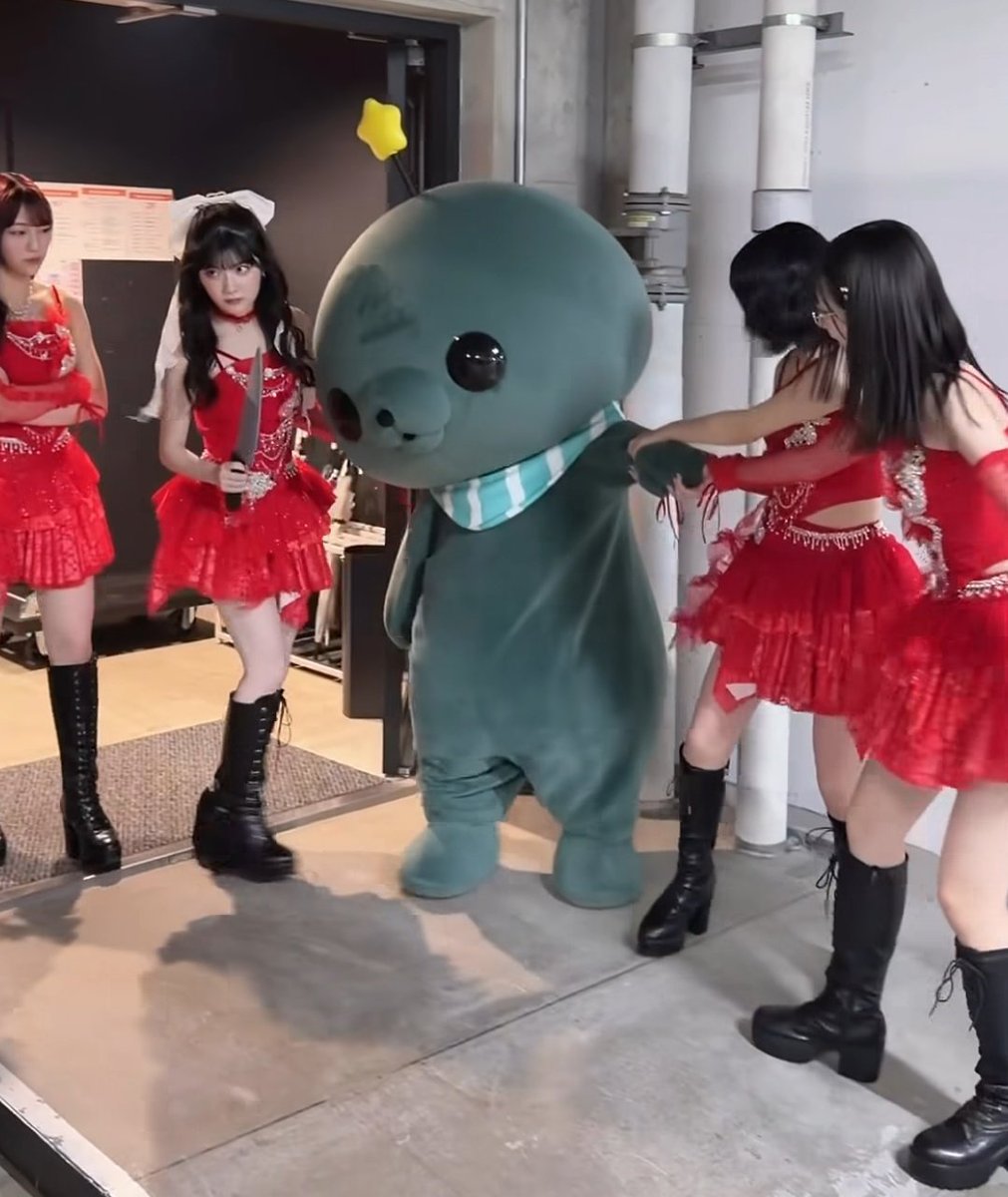 🌼りっちゃん👑 tweet media