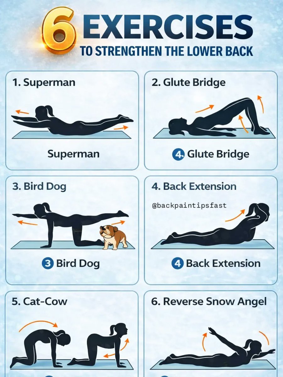 6 EXERCISES TO STRENGTHEN THE LOWER BACK 🧘‍♀️ ❤️