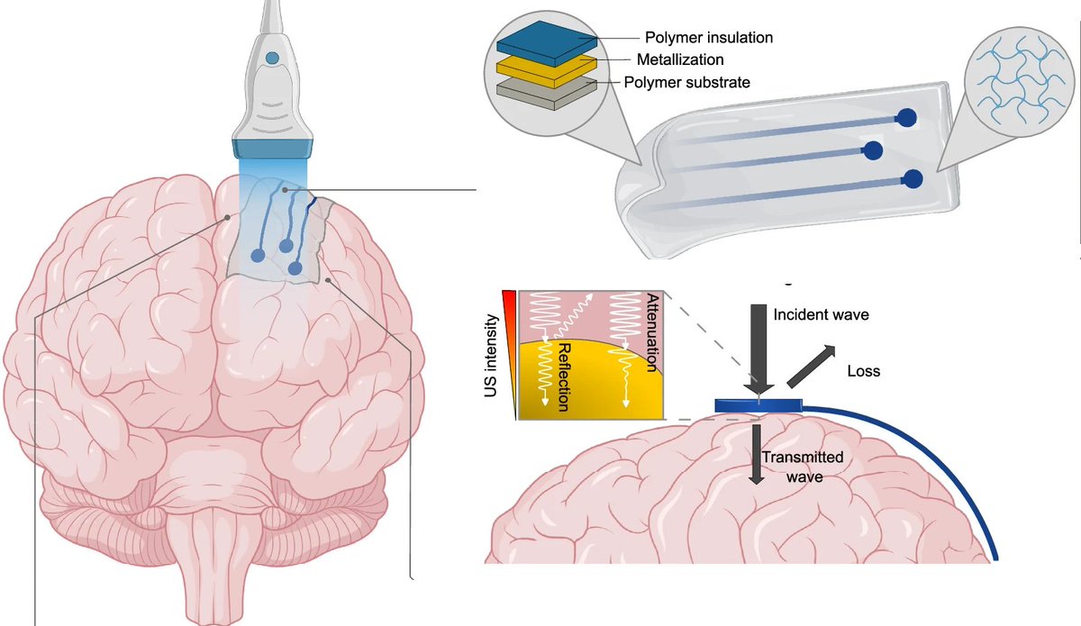 Bioelectronics Drop tweet media