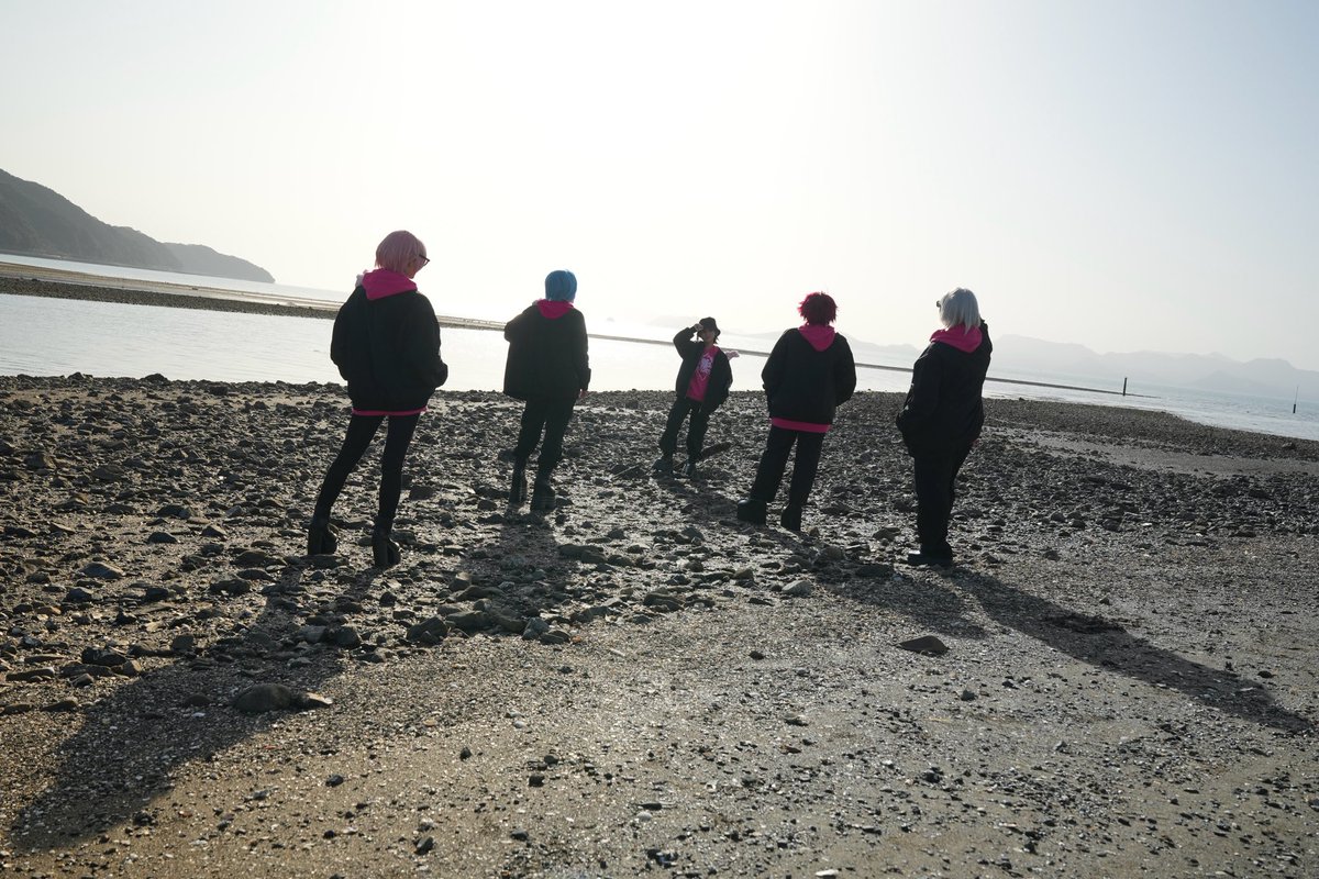 Lion🦁 tweet media