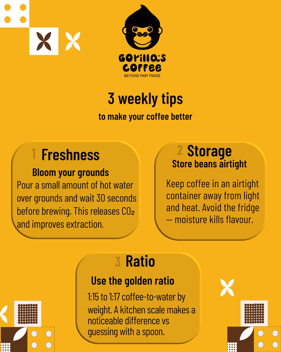 GorillasCoffee_'s tweet image. Brew it right. Taste the origin. Every cup has a story — don't dilute it. ☕

"Don't lose the quality within."

#CoffeeCulture #BrewBetter #CoffeeTips
