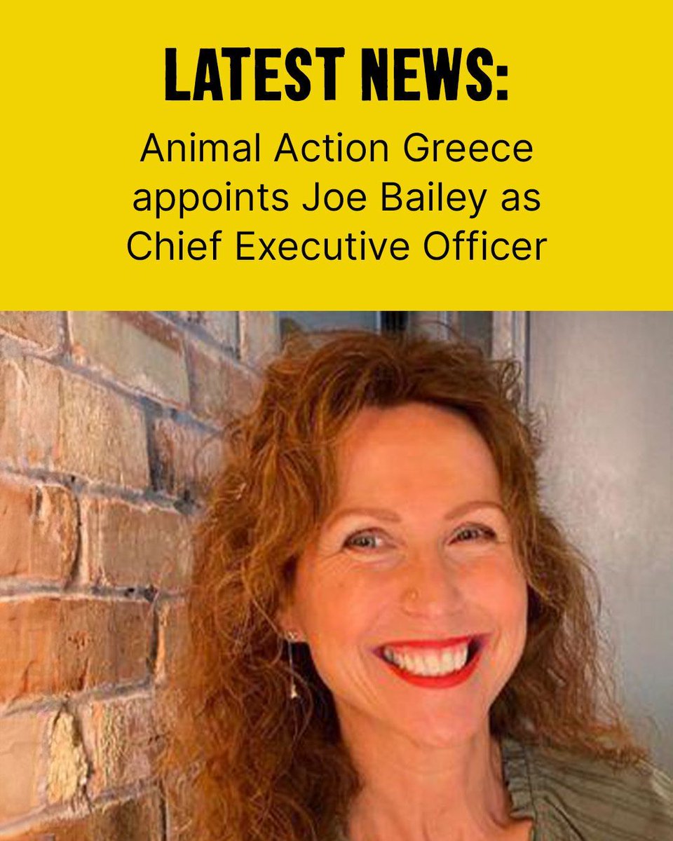 Animal Action Greece tweet media
