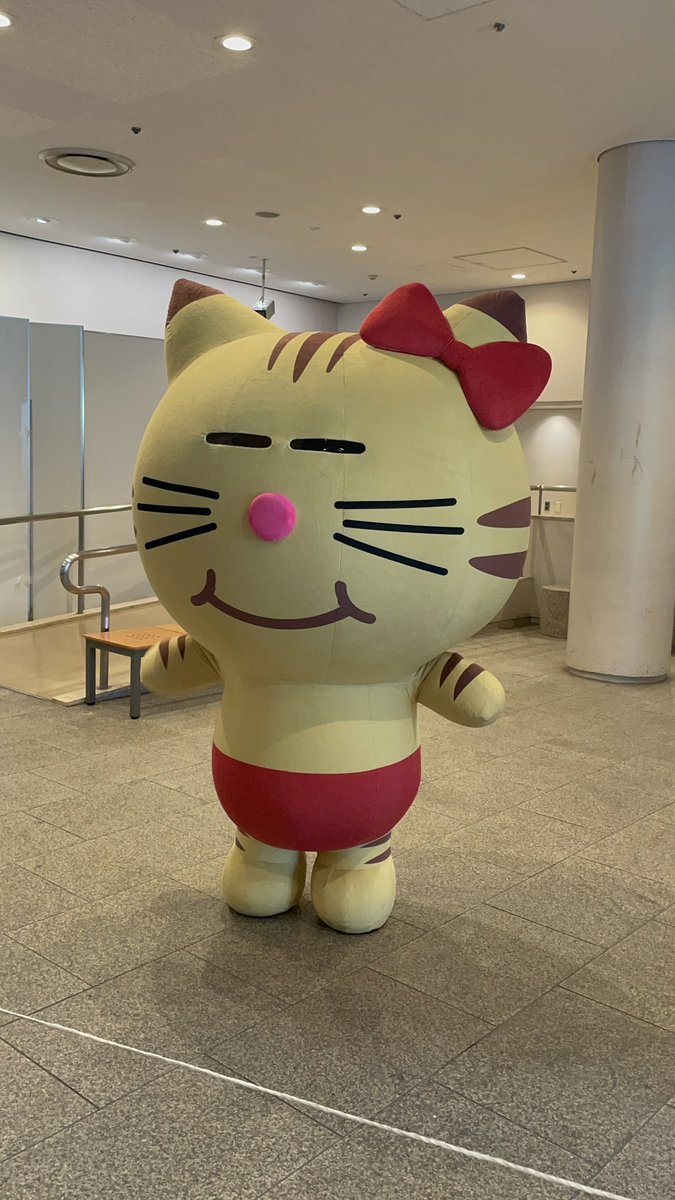 まぁこᴷᴹᴷ tweet media