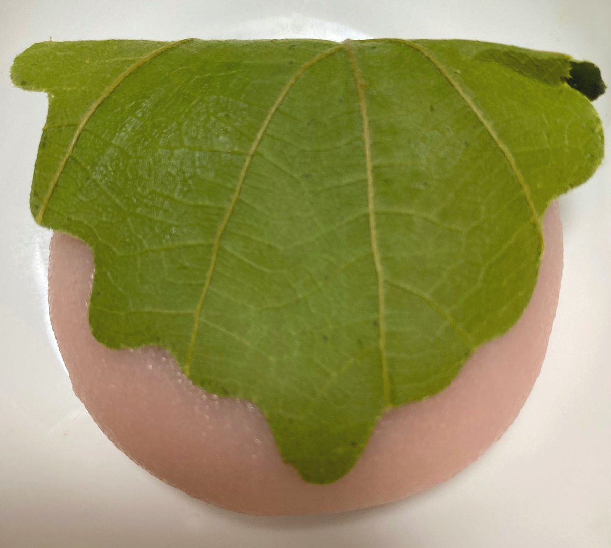 IMOKO@大湊警備府 tweet media