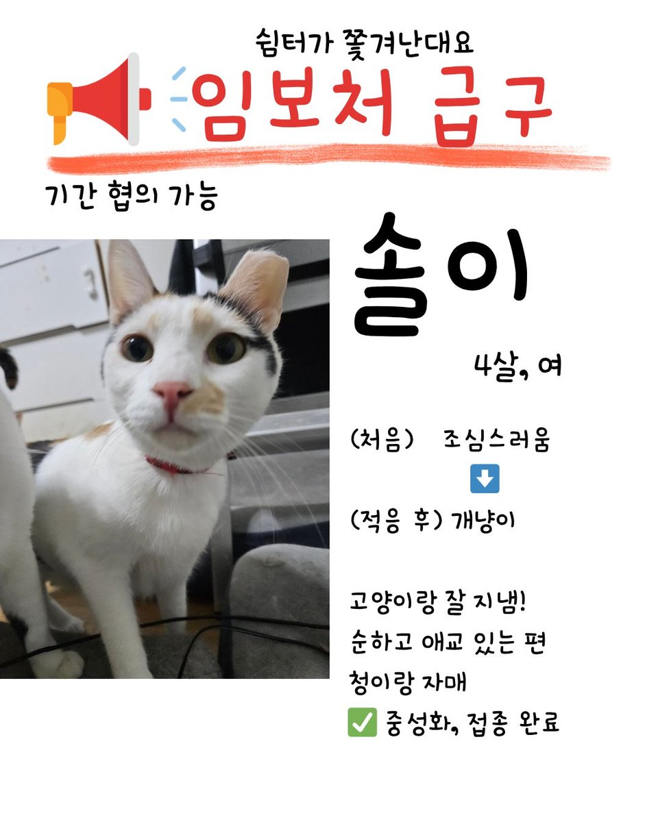 알티전용계정 tweet media