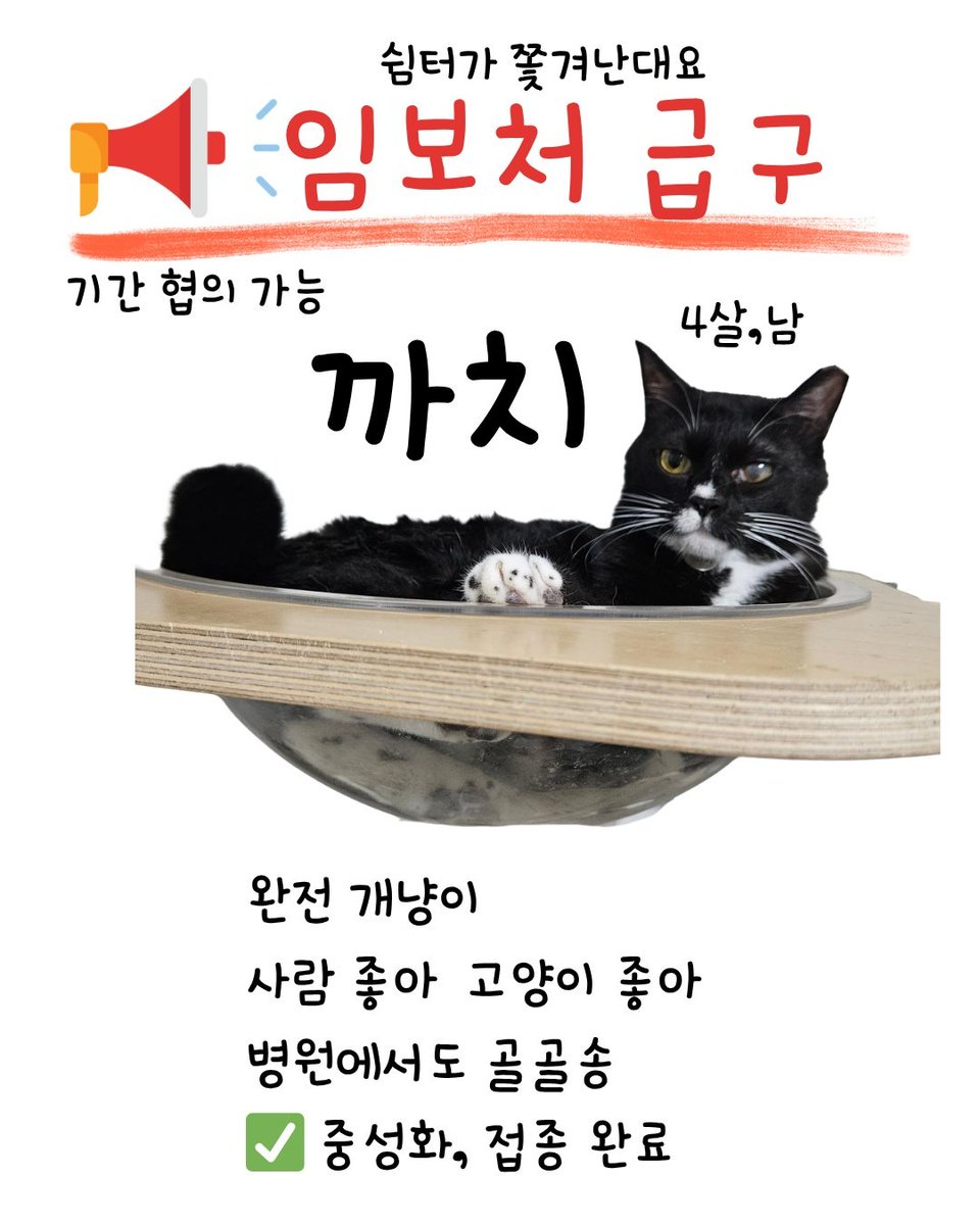 알티전용계정 tweet media