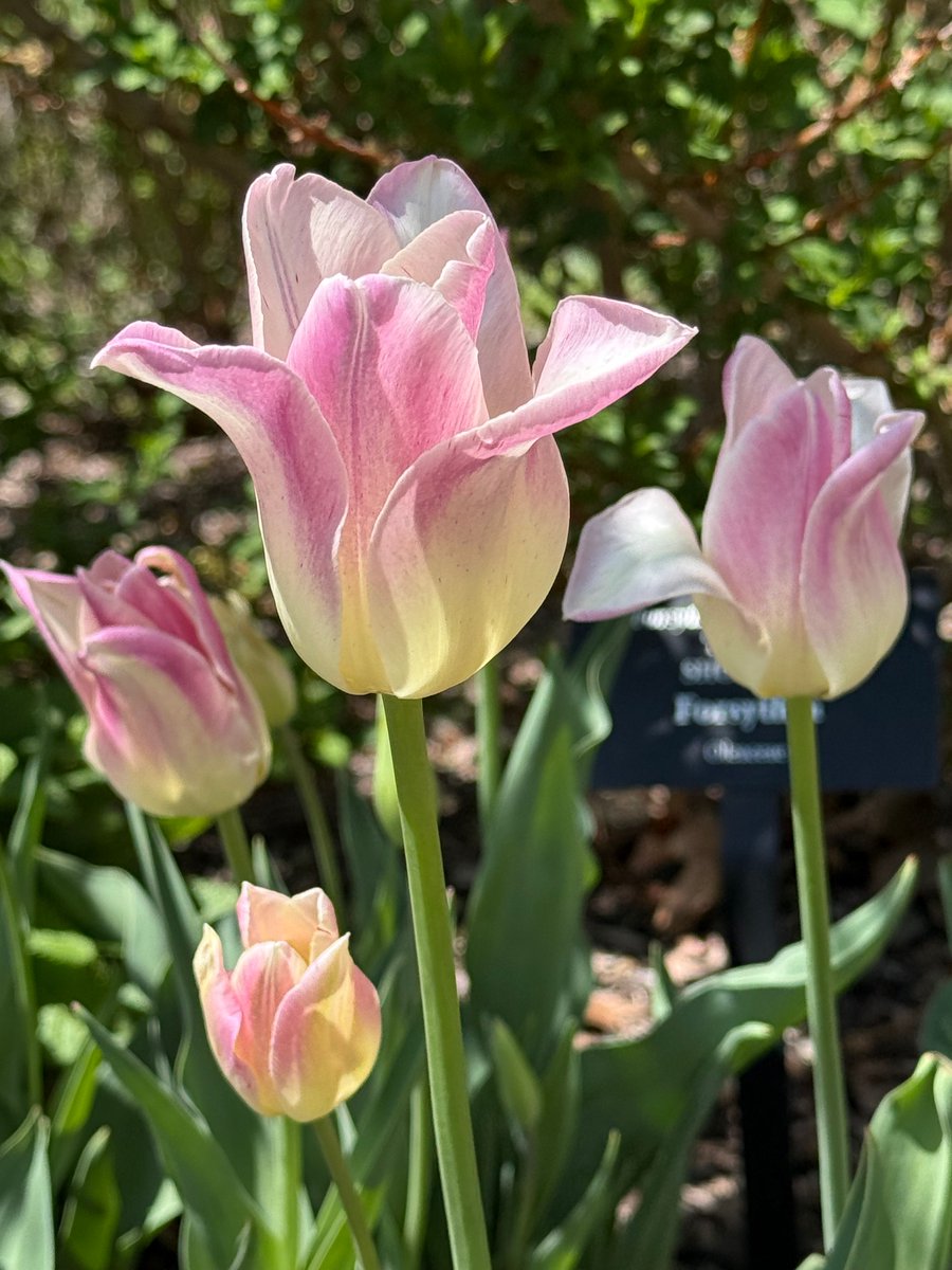 Jeff Oechslein tweet media