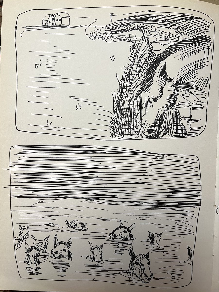 کفتر پاسکال tweet media