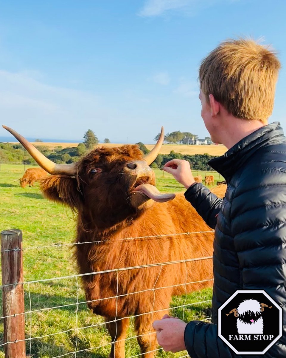 Farm Stop tweet media