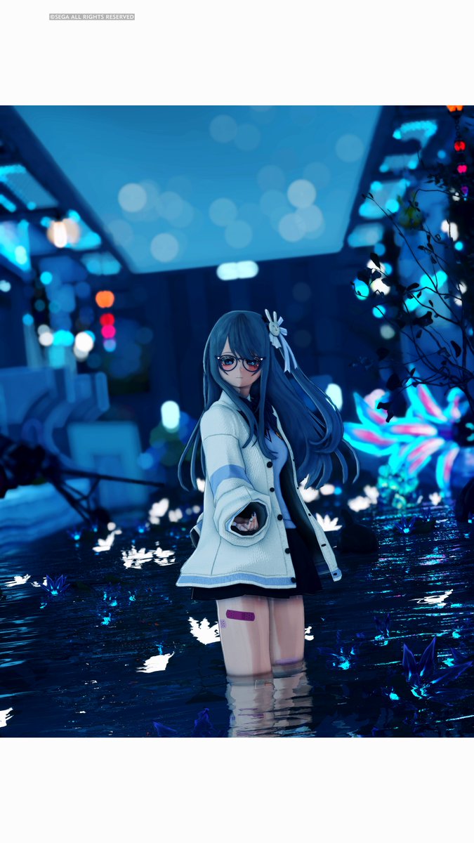 才儿力🐟 tweet media