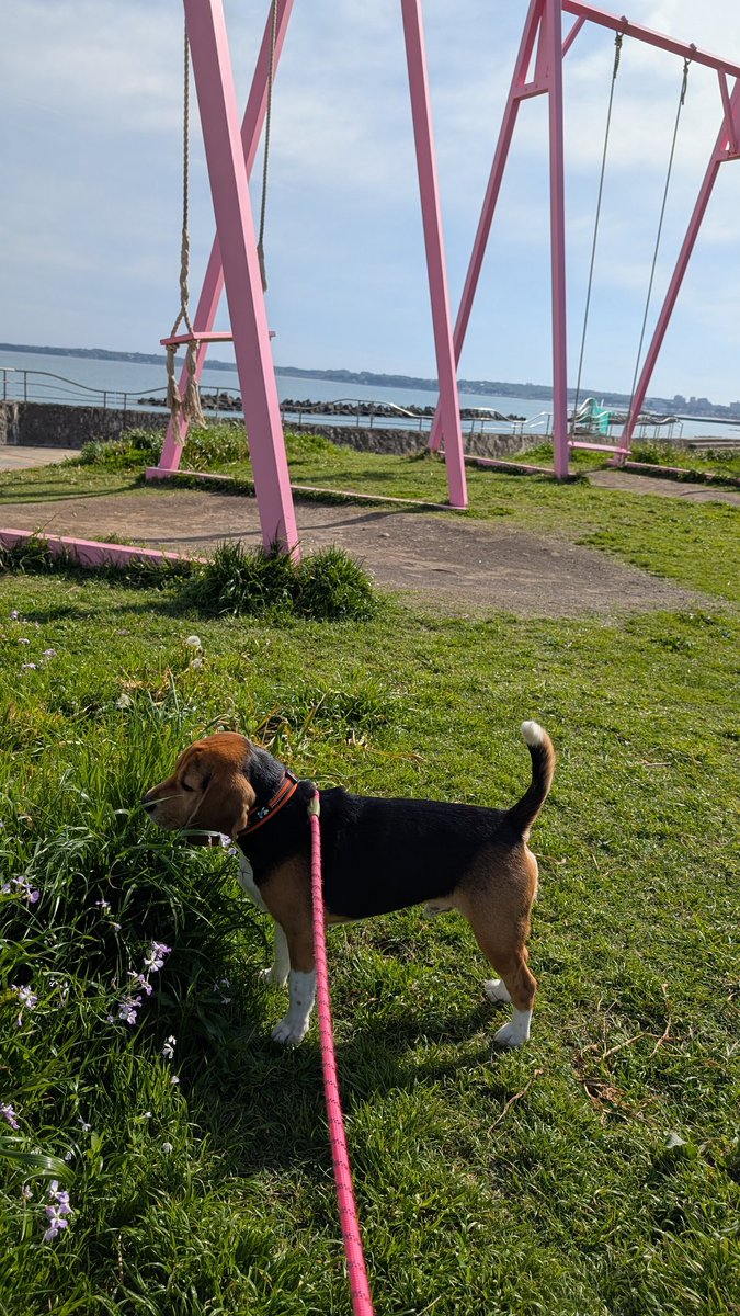 ともぞう tweet media