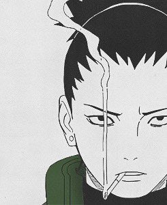 김볶밥 tweet media