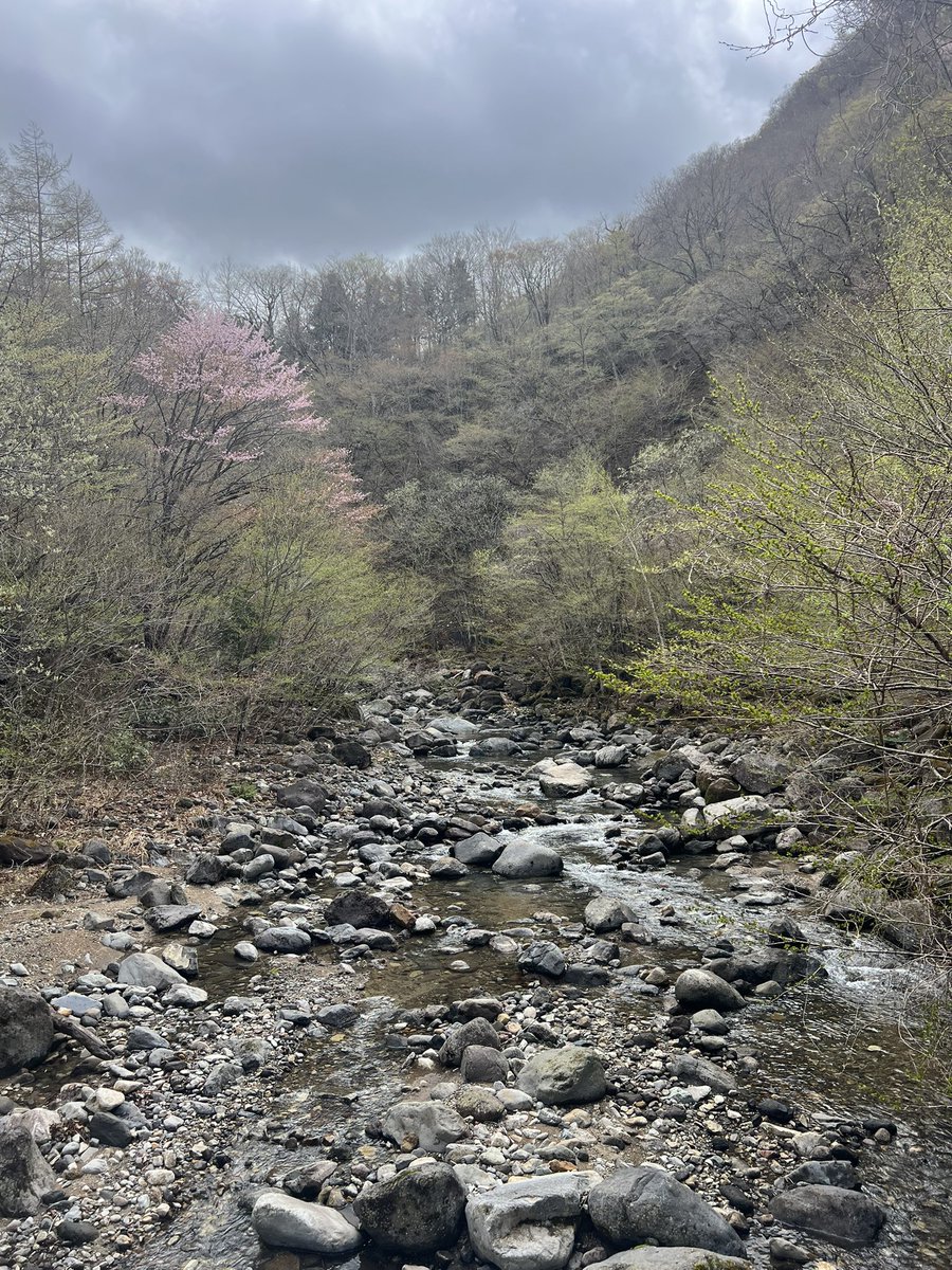 snip_tk's tweet photo. 本日、今年初の源流へ！🎣
午前中は雨の予報でそこそこ強く降っていたのでゆっくり出発
11時から15時まで釣りしてイワナ3匹と出会う事が出来た✨
今日は一日中強風で気温水温共に低くてドライフライに出るか不安だったけど意外と反応あって良かった♫☺️ https://t.co/iDC0TMJkxi