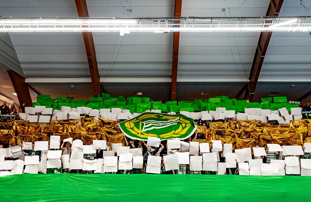Hammarby Handboll tweet media