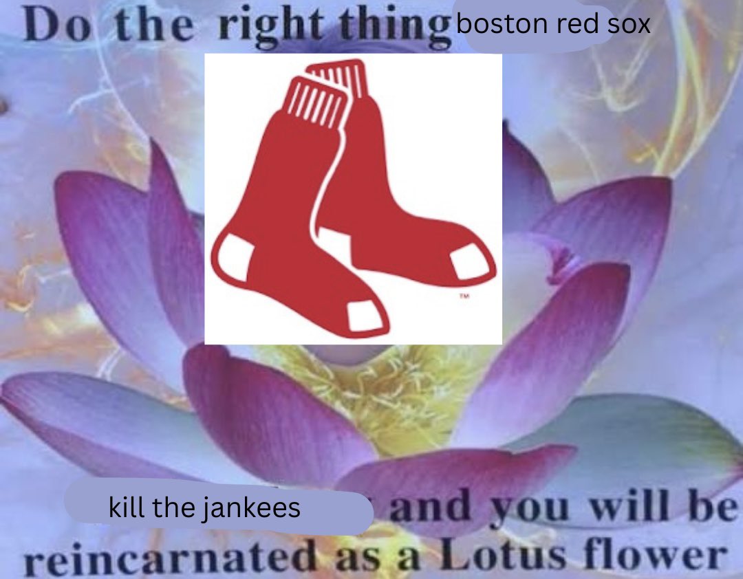 massachusetts enjoyer tweet media