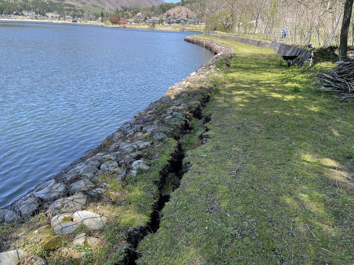 🐶こむぎ🐶 tweet media