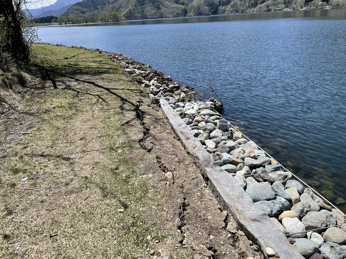 🐶こむぎ🐶 tweet media