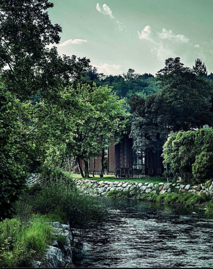 nishieeta's tweet image. cracked garden stone 
jade green moss hides the winter
lost in the tall grass

#vss365
#haiku