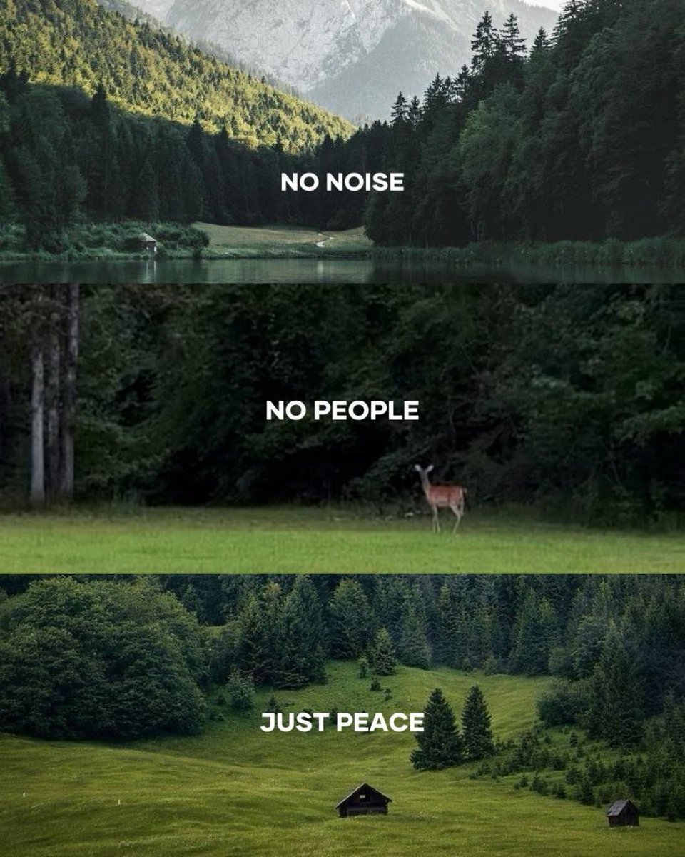 Science girl tweet media