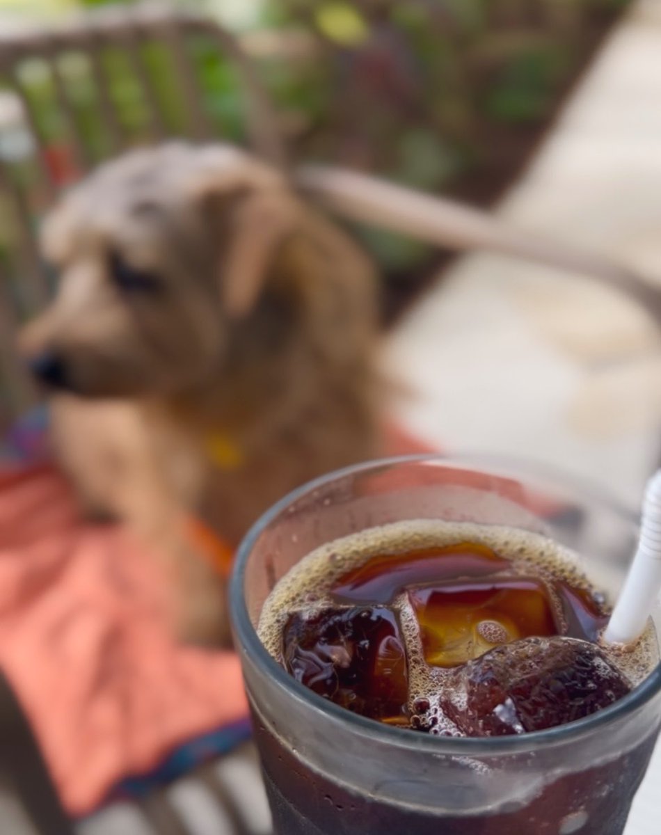 ｼﾝ.ﾊﾏｸﾞﾘ(•ω•)ｱｶﾈ tweet media