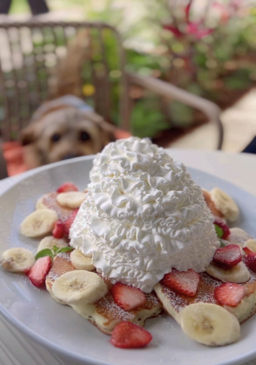 ｼﾝ.ﾊﾏｸﾞﾘ(•ω•)ｱｶﾈ tweet media