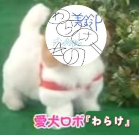 パーカー tweet media
