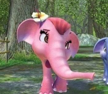 พอวอ🍅 tweet media