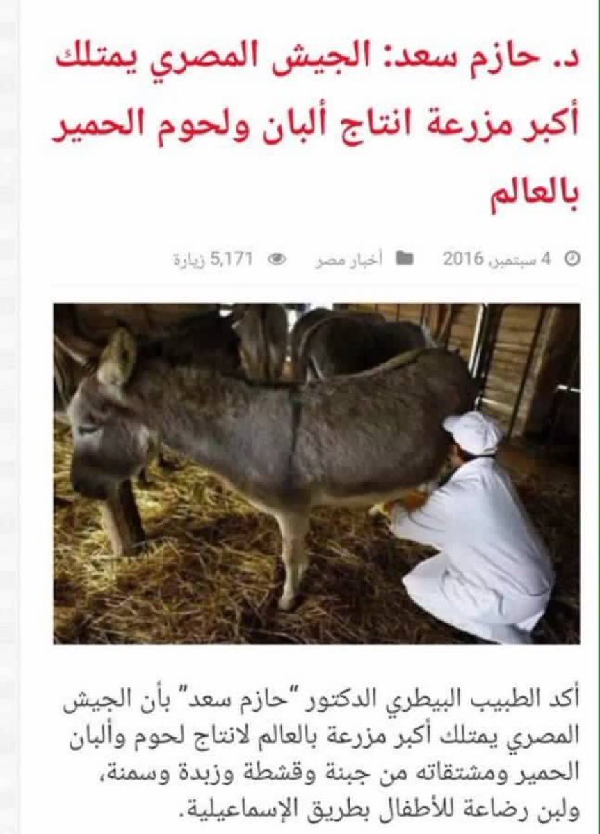 أبو مازن🇸🇦🐪 tweet media