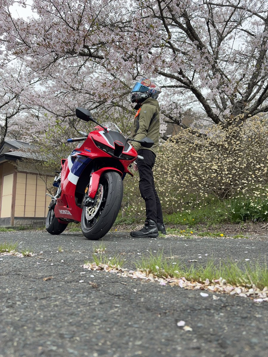 USK柚鈴（ゆず）パパ tweet media