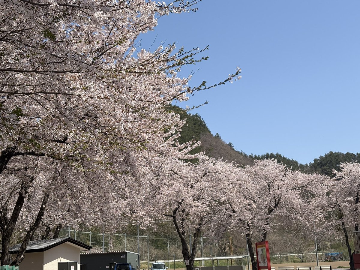 USK柚鈴（ゆず）パパ tweet media