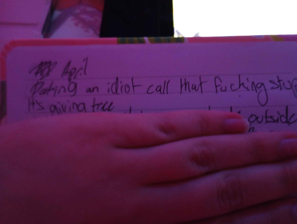 🩷 ๋࣭ ⭑ cat 🐰 tweet media