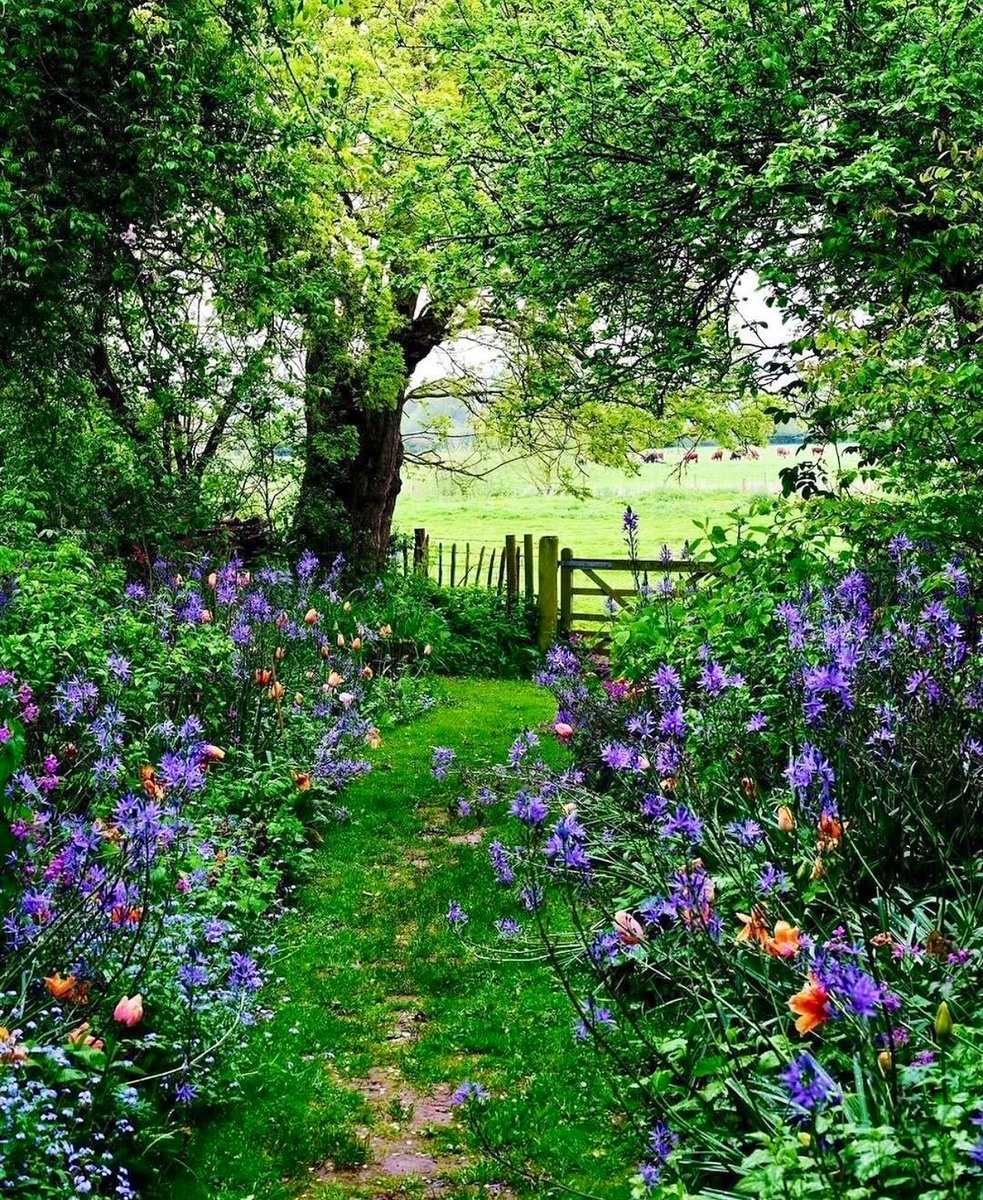 Elle Lookbook tweet media