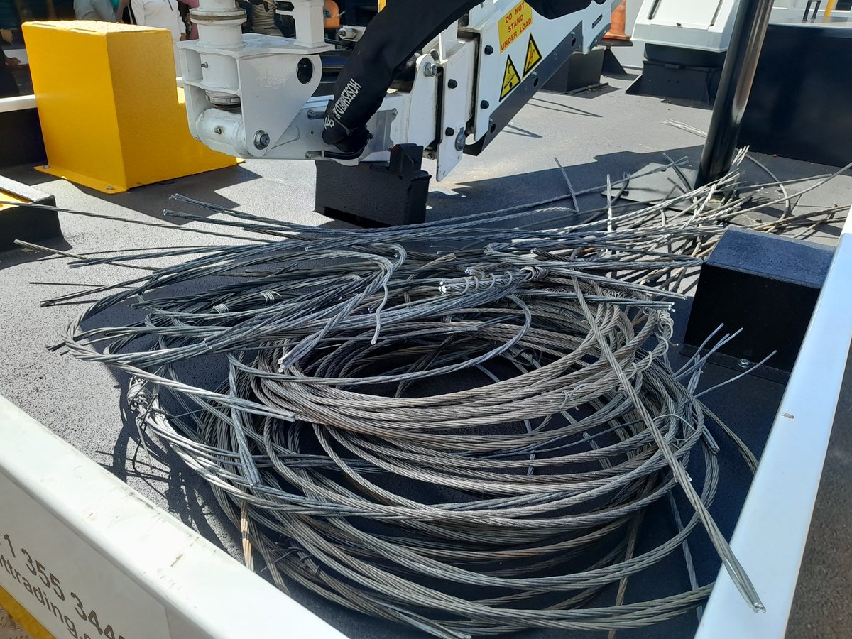 Dr Nasiphi Moya tweet media