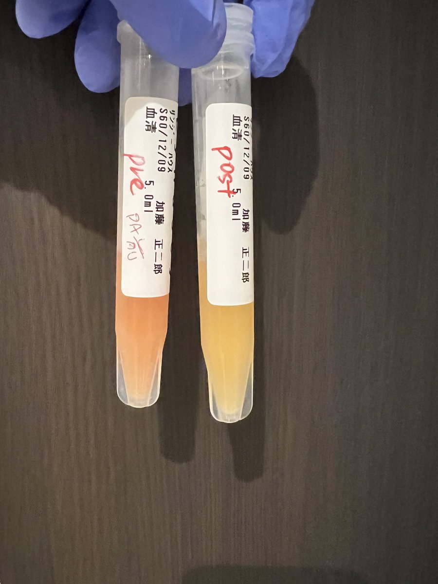 こーじ（Fellows） tweet media