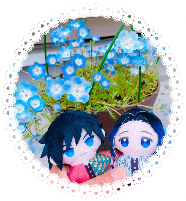 季節的にTLに素敵なお花の写真がいっぱい流れて来て嬉しい うちのもちょっとだけ咲いた