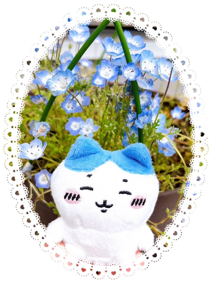 冨岡義勇 「季節的にTLに素敵なお花の写真がいっぱい流れて来て嬉しい うちのもちょっとだけ咲」|あいすのイラスト